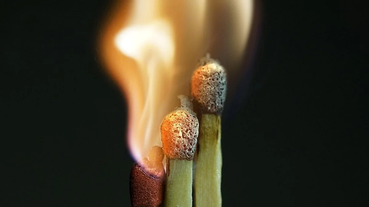 拉杜卡努横扫布林科娃：替补深度与轮换效率观察